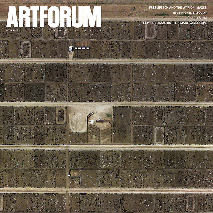 Ryan McNamara in Artforum