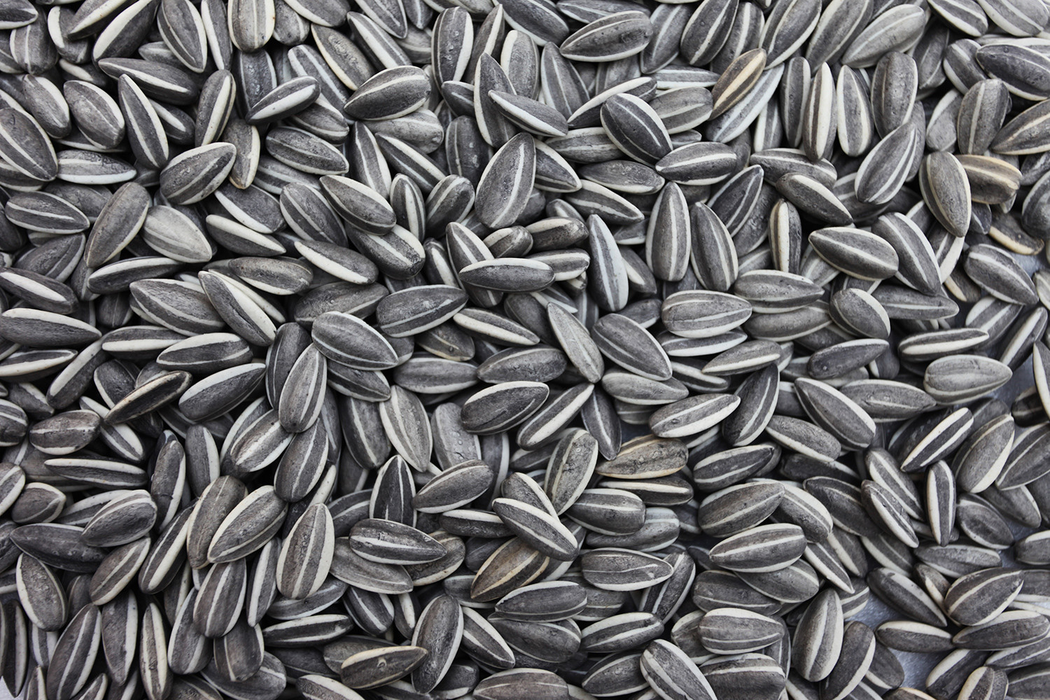 Sunflower Seeds